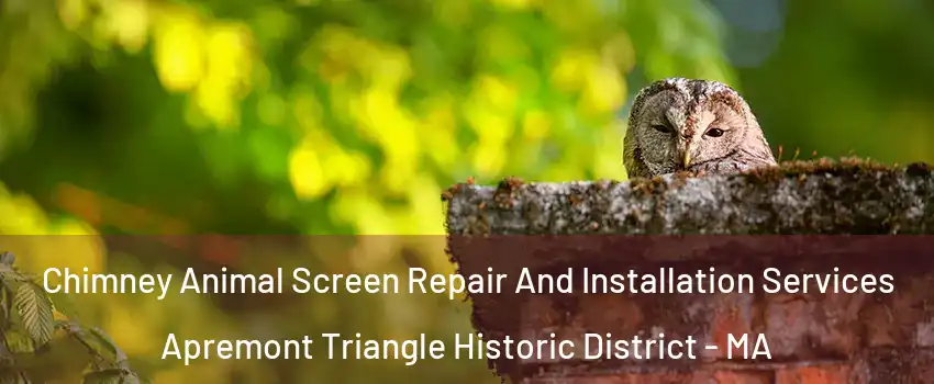 Chimney Animal Screen Repair And Installation Services Apremont Triangle Historic District - MA