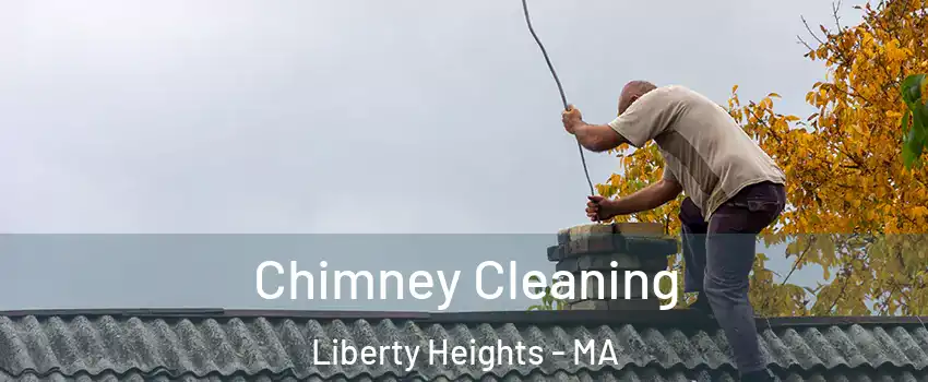 Chimney Cleaning Liberty Heights - MA