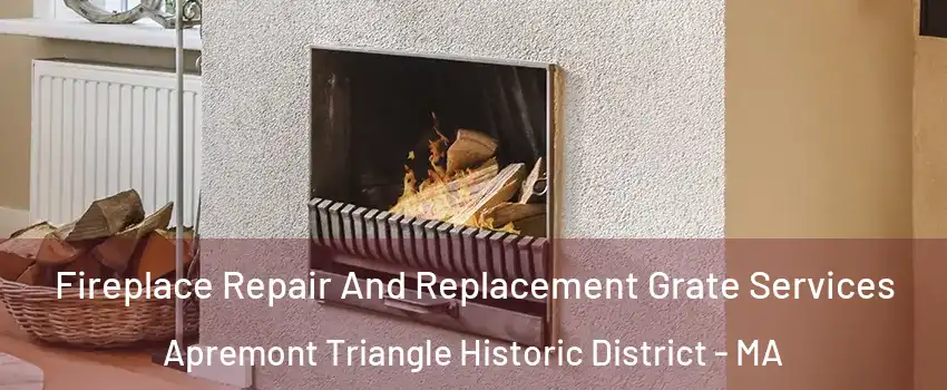 Fireplace Repair And Replacement Grate Services Apremont Triangle Historic District - MA