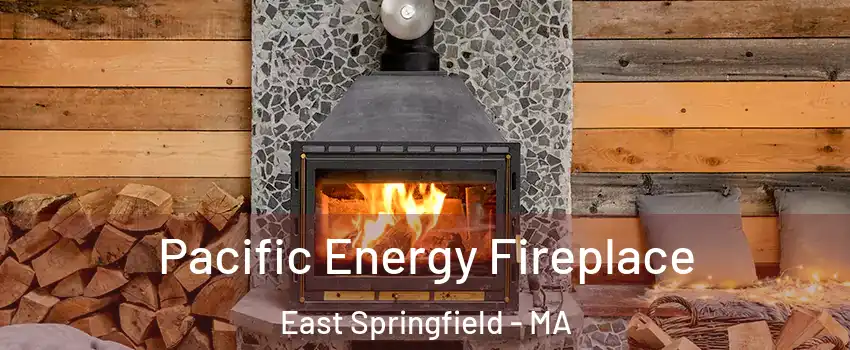 Pacific Energy Fireplace East Springfield - MA
