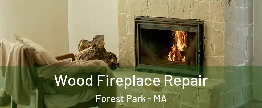 Wood Fireplace Repair Forest Park - MA